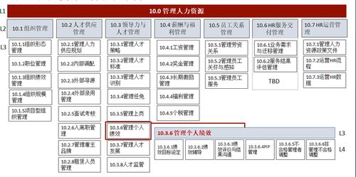 華為人力資源管理體系 驅動軟件開發創新與卓越的引擎